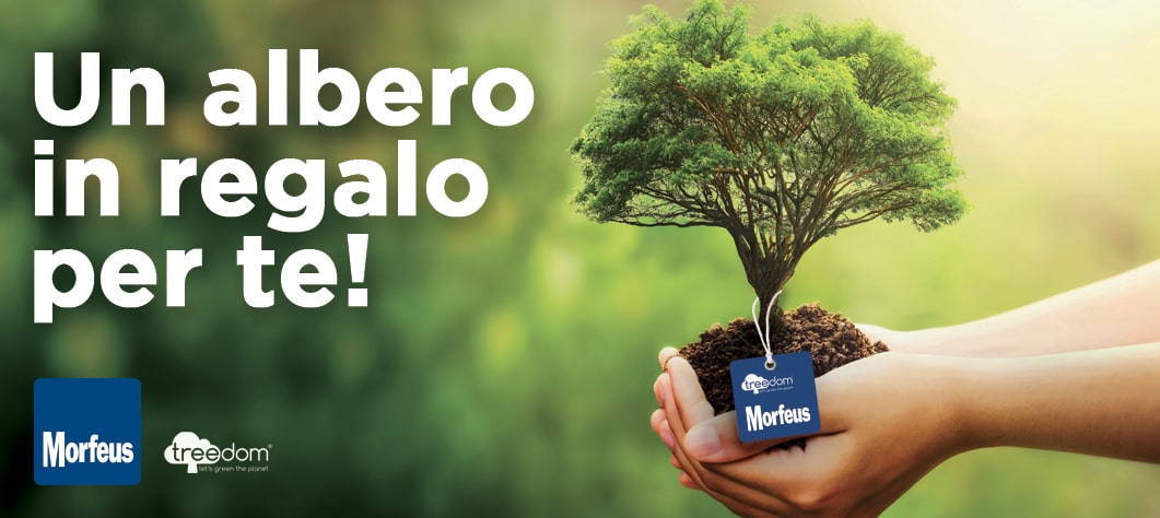 Un albero in regalo per te! Un albero in regalo per te!