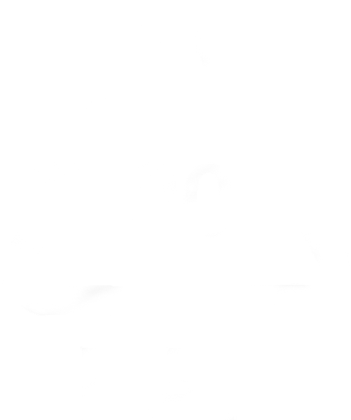 PAP20 B 1
